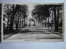 Hesdin ,avenue D'Arras . C P Photo 14X9 - Hesdin