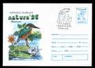 Romania Stationery Cover With Post Mark  Birds Alcedo Atthis 1996. - Palmípedos Marinos
