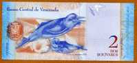 *NOUVEAUX*  2 Bolivares  "VENEZUELA"  Dauphins 20 Mars 2007    UNC  Ble 91 - Venezuela