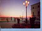 S41 TRANI PORTO NOTTURNO AUTO D'EPOCA Vg - Trani