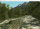 CP Les Pyrenees Gave Au Printemps Les Pics Du Castillon - Midi-Pyrénées