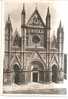 37348)cartolina Illustratoria Orvieto - Facciata Cattedrale - Nuova - Terni