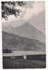 Delcampe - Carte Noir/blanc Avec Vue Sur La Montagne Le Niesen Et Le Lac De Thoune - 1956 - Thun