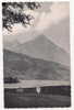 Carte Noir/blanc Avec Vue Sur La Montagne Le Niesen Et Le Lac De Thoune - 1956 - Thoune / Thun