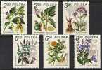 Poland Polska 1980 Herbs  Heilpflanzen - Unused Stamps