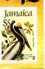 JAMAICA, JJ Audubon, Painter, Artist, Bird, Brown Pelican - Pelikane