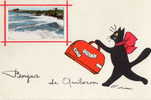 QUIBERON (56) Carte Fantaisie Bonjour Chat - Quiberon