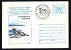 WHALE BALEINE- Hunting,CYSTOPHORA CRISTATA,entier Postal Stationery 63/1996 Rare PMK. - Whales
