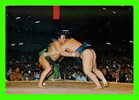 SUMO - LUTTE JAPONAISE - - Worstelen