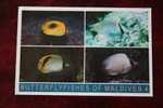 CPSM FIRST DAY OF THE YEAR  JOUR DE L'AN 01-01-1998 POST CARD BUTTERFLYFISHE OF  MALDIVES 4  AIRPORT POST OFFICE POISSON - Maldives