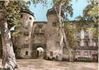 Céret ( Pyrénées Orientales) Porte De France, Photo Combier - Ceret