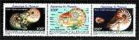 Nlle Caledonie Noumea Nautile 2001 N 840 /.42 Neuf X X - Unused Stamps