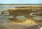 Bassin D'arcachon ( Gironde) Vue Aérienne L'ile Aux Oiseaux , Photo Chatagneau De Bordeaux - Arcachon