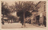 2. VIELMUR-SUR-AGOUT - Esplanade Et Monument Aux Morts - Vielmur Sur Agout