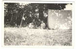 Famille En Vacances ;Camping Devant Leur Tente; Carte Photo ; Années 40/50; TB - Zonder Classificatie