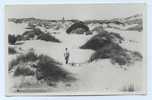 NETHERLANDS - HOLLANDSCH DUINLANDSCHAP, Photo Postcard - Ameland