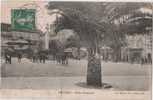D - CARTE POSTALE - 06 - ANTIBES - PLACE NATIONALE - - Antibes - Old Town