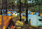 Carte Postale 80. Quend  Camping De La Pinède   Trés Beau Plan - Quend