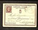 Cartolina Postale - Traveled 1877th - Entero Postal