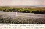 Canada - Prince-Edward Island - 1906 - Used - Canadian Souvenir - See Both Scans - Andere & Zonder Classificatie