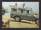 ANIMALS - AFRICAN WILDLIFE - EAST AFRICA - CHEETAH AND TOURIST BUS AT MONT KILIMANJARO - Löwen