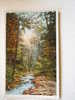 US - Springtime In Artist's Glen Dells Of The Wisconsin River F D66828 - Altri & Non Classificati