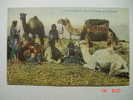 299 PALESTINE  GROUP OF CAMELS IN THE DESERT ETHNIC ETNICA  CAMEL  YEARS  1910  OTHERS IN MY STORE - Zonder Classificatie