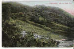 ROYAUME-UNI - ILFRACOMBE - CPA - N°A 251 - Ilfracombe, View On Cairn Top - Ilfracombe