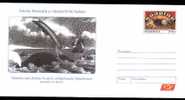 WHALE BALEINE- Hunting,entier Postal Stationery 18/2006. - Baleines