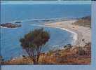 S831 CROTONE ISOLA CAPO RIZZUTO MARINELLA CAMPING LA SCOGLIERA Vg - Vibo Valentia