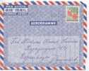 New Zealand Aerogreamme Sent To Denmark 1963 - Airmail