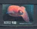 Norway 2004 Mi. 1492  9.00 Kr  Meerestiere Sea World Animals Sepiole Octepus MNG - Unused Stamps