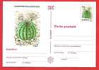 ROMANIA 1997 Postcard Stationery Postcard. Cactus Flower - Sukkulenten