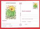 ROMANIA 1997 Postcard Stationery Postcard. Cactus Flower - Cactusses