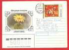 RUSSIA URSS Postcard Stationery Cover. Cactus Flower - Sukkulenten