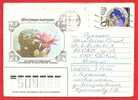 RUSSIA URSS Postcard Stationery Cover. Cactus Flower - Sukkulenten