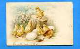 Carte Postale De PAQUES"petits Poussins Sur Tronc D'arbres"oeufs"escargot"1904 - Pasen