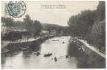 AVIRON, CANOTAGE : Boucle De La Marne JOINVILLE à CHAMPIGNY, Animation, 1904 - Rowing
