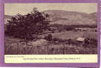 Last Resting Place Of John Burroughs, Homestead Farm, Roxbury, NY.  1900-10s - Long Island