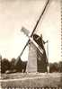 Bokrijk Molen - Genk