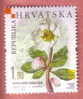 LA FLORE CROATE - ENDEMIC PLANTS .. Ellebore A Grandes Fleurs ( Croatie MNH**  ) Christmas Rose Helleborus Niger Plant - Rose