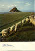 MONIER LE MONT-SAINT-MICHEL LA DIGUE A MAREE BASSE ET LES FAMEUX MOUTONS - Monier