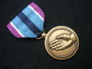 USA  : MEDAILLE  FOR HUMANITARIAN SERVICE   état Neuf - Estados Unidos