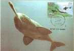 Pvt Maxi Card,Ganges River Dolphin Or Gangetic Dolphin,First Day Cancelled - Delfine