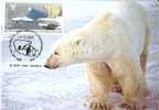 Maxim Card,Preserve The Polar Regions And Glaciers,Polar Bear,First Day Cancelled,Antarctica, - Ours