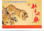 Tiger Endangered Specie    ,     Prepaid Card  , Postal Stationery - Rhinozerosse