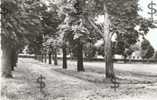 VILLENEUVE LA GUYARD Yonne 89 : Les Promenades - Villeneuve-la-Guyard