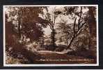 Real Photo Postcard Foot Of Kewstoke Woods Weston Super Mare Somerset - Ref 514 - Weston-Super-Mare