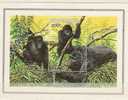 RWANDA    Faune.   Animaux En Danger D'extinction   BF 100** - Gorilas