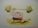 8381  HALTEROFILIA  SPORT DEPORTE  ILUSTRADOR WIM     AÑOS / YEARS / ANNI  1970 OTHERS IN MY STORE - Weightlifting